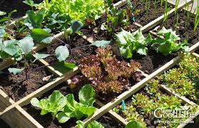 How To Build A Square Foot Garden