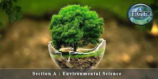 Writing Your Environmental Science Research Paper