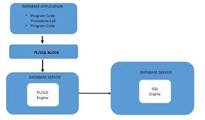 learn basics of oracle pl sql from