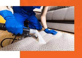 carpet cleaning gainesville fl carpet