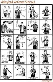 Funny Graphs What Referee Signals Actually Mean Olympic