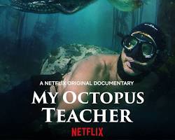 Image of My Octopus Teacher Netflix documentary poster