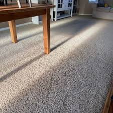 safe n soft carpet cleaning boise id