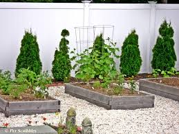 Raised Garden Bed For Vegetables