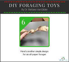 diy foraging toys for your bird the