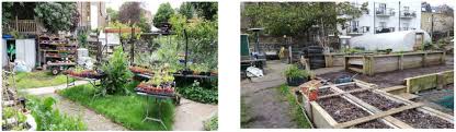 Case Study London Community Garden