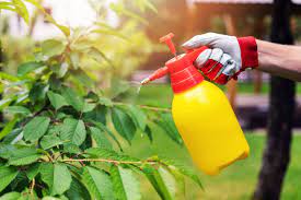 6 best chemical sprayers 2023 guide