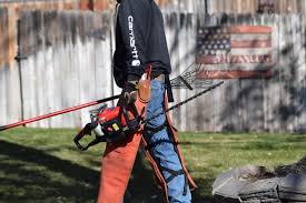 New lawn care technician careers are added daily on simplyhired.com. Lawn Maintenance Technician Jobs Happy Roots Lawn Care