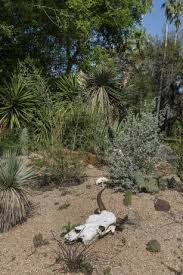 garden ornamentation at quinta mazatlan