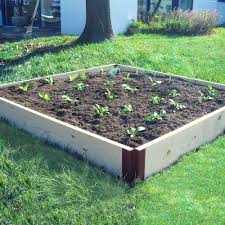 1 X6 Cedar Raised Garden Bed Sandbox