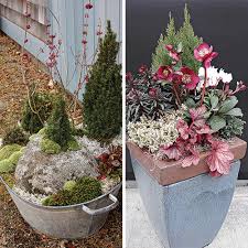 Winter Container Inspiration