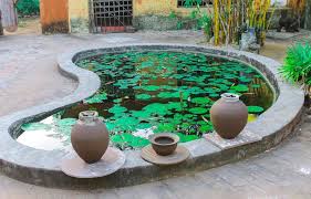 Best Small Pond Ideas For Your Garden