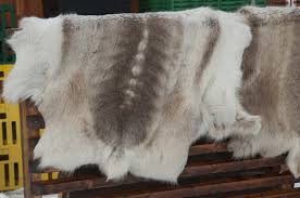 common misconceptions about cow skin rugs