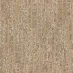 lexmark carpet sedona r3025 4590