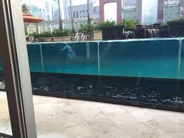 the glass pool picture of peninsula