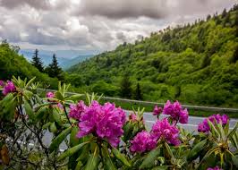 5 Reasons You Will Love Spring in the Smoky Mountains