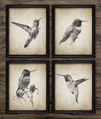Hummingbird Wall Art Print Set Of Four