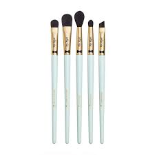 mr right eye essential 5 piece brush set