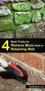 Removing Moss From A Retaining Wall