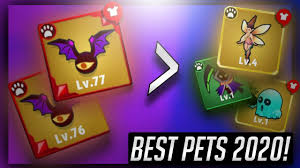 In halls opinion what's the best pet combo to have? Best Pet 2020 Bats Still Supreme Gazdaplays Archero Youtube