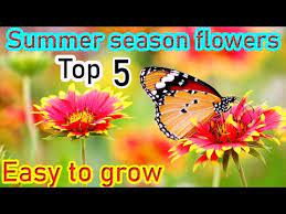 summer flower plant list in urdu