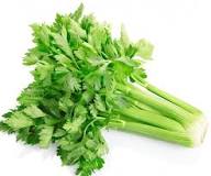 What is 1 stalk of celery look like?