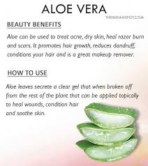 how can i use aloe vera for my dry skin