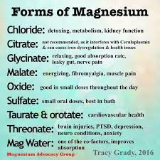 Types Of Magnesium Health Cardiovascular Health