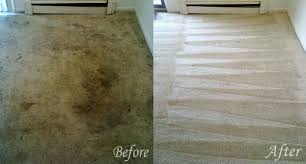 carpet cleaning machusetts the