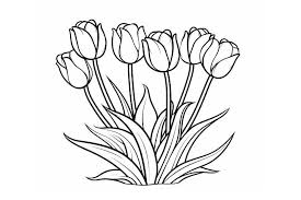 flower coloring pages free printable