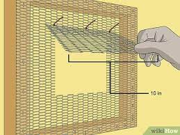 How To Make A Bird Cage 12 Steps With