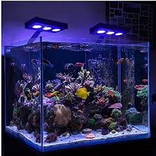 10 Best Reef Led Lights Reviews Side By Side Comparison
