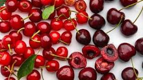 What are sour cherries used for?