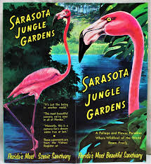sarasota florida jungle gardens