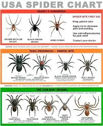 Aid Pest Control A Handy Chart Of Spiders And An Offer Apply