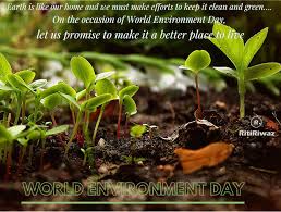 world environment day wishes messages