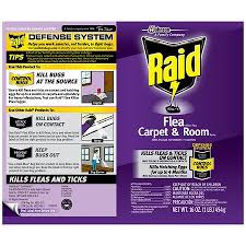 raid flea plus carpet room