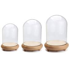 Small Medium Large Glass Dome Display