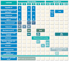 immunisation schedule of the spanish