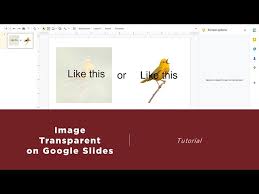 image transpa in google slides