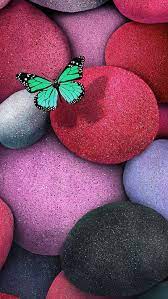 Colorful stones, butterfly, color ...