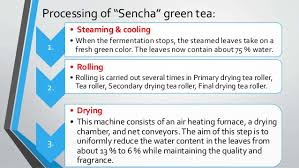 Process Flow Chart Tea Processing