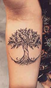 Tatouage arbre de vie - modèles populaires et signification arbre de vie