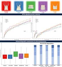 Tranheter Aortic Valves