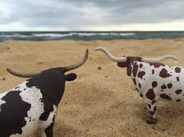 toy cows schleich moo moo lah