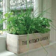 Unwins Herb Kitchen Window Indoor