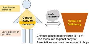 central body fat deposits are