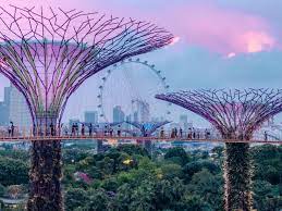 singapore solo travel