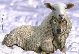 Ο μάγος και τα πρόβατα... Images?q=tbn:ANd9GcTxNt5gPVD9bEUZD5jnUoUXeVouZbLWBAUEQn72AFr_BPjAAB1ydQ