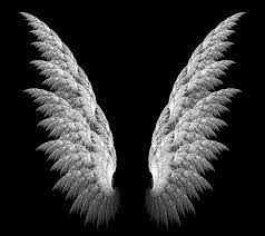 angel wings hd wallpaper peakpx